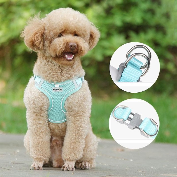 Hundegeschirr und Halsband, atmungsaktiv, reflektierendes Hundezubehör für kleine und mittelgroße Hunde, Französische Bulldog