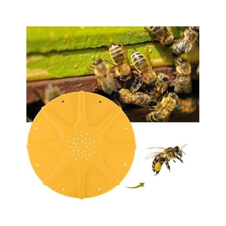 8 Wege Fluchttür Bienenstocktor Runde Scheibe Imkereizubehör Bienenausrüstung gelb