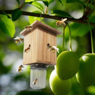 Bienenfalle aus Holz, Würfelform, wartungsarme Insektenfalle mit Flasche, einfach zu platzieren, hängender Bienenfänger hellb