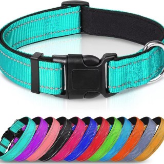 Reflektierendes Hundehalsband, weiches, mit Neopren gepolstertes, atmungsaktives Nylon-Haustierhalsband, verstellbar für mitt