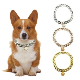 Haustier-Halskette, knackige Glocke, glänzender Kunststoff, für Katzen und Hunde, goldene Kette, Halskette, Halsband, täglich