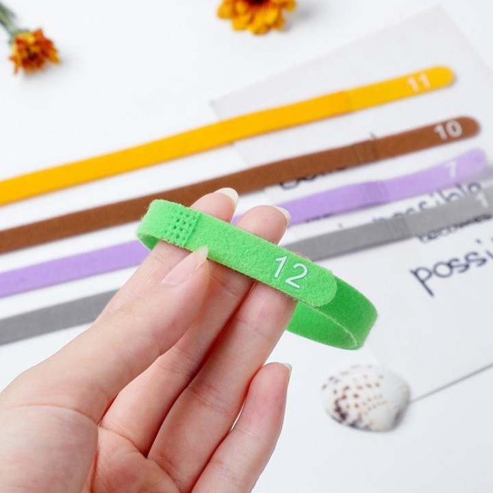 12 Teile/satz Welpen Neugeborenen Haustiere Identifizieren Halsbänder Einstellbare Nylon Kleine Haustier Hund Halsbänder Kätz