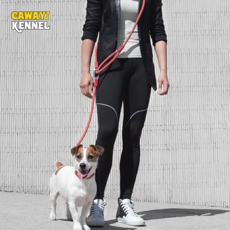 CAWAYI KENNEL Reflektierende Nylonleinen für Hunde, Kette, Zugseil, Leinen zum Laufen mit freien Händen, Seilkette für kleine