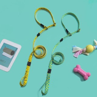 P-Kette Große Hundeleine Schlupfhalsband Haustier-Leine Explosionsgeschützt für große Hunde Kletterseil Bequeme Hundeleine S1