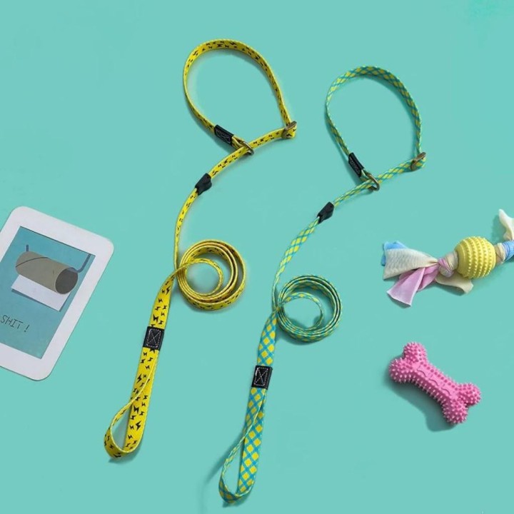 P-Kette Große Hundeleine Schlupfhalsband Haustier-Leine Explosionsgeschützt für große Hunde Kletterseil Bequeme Hundeleine S1