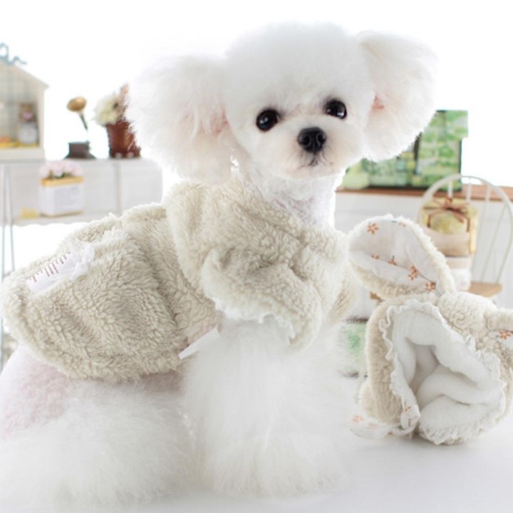 Herbst- und Winterkleidung für Haustiere, Kaninchenohr-Mütze, Rock, kältebeständige, warme Kleidung für den Außenbereich, Edd