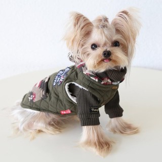 Herbst und Winter Basismantel Hund Kapuzenjacke Set Hund Parkas Hund Katze Kleidung Haustier Kleidung Welpen Kleidung Weihnac
