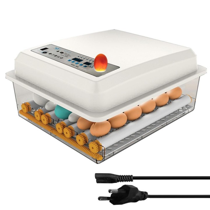 Eier-Inkubator 48 Eier Haushalt Digitale Geflügel-Brutmaschine 220V/12V Dual Power mit US Plug