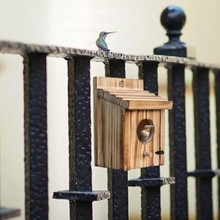 Vogelnistkasten, wasserdichtes Vogelnest aus Holz, Nistkasten für Meisen, Vogelhäuschen für den Außenbereich, Nistkasten für