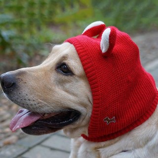 Lustige Strickmütze für kleine Hunde, Cartoon-Bärenohren, Welpenkostüm, Mütze, Ohrenschützer, schöne kleine Mütze, Kopfbedeck