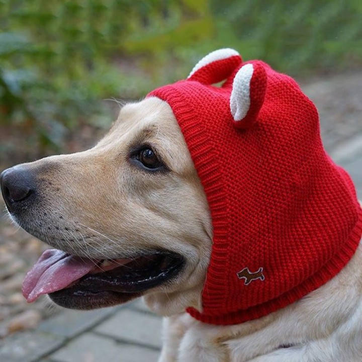 Lustige Strickmütze für kleine Hunde, Cartoon-Bärenohren, Welpenkostüm, Mütze, Ohrenschützer, schöne kleine Mütze, Kopfbedeck