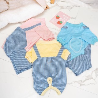 Gestreifter Overall für Haustiere, Kleidung für kleine Hunde, Patchwork-Kleidung in Kontrastfarbe, Hose mit vier Beinen und S