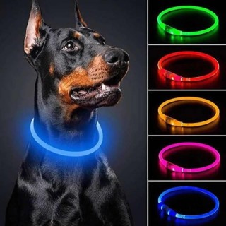 3 Modi Hunde-Leuchthalsband mit USB-Ladefunktion, abnehmbares Nacht-LED-Leuchthalsband für Hunde, Verlustverhütung, Haustierz