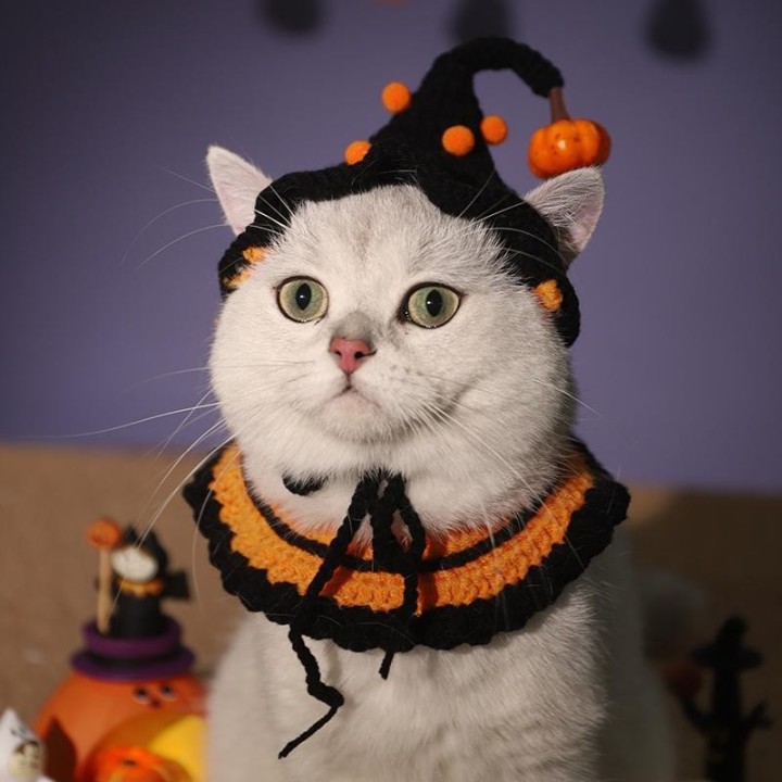 Süßes Halloween-Haustierkostüm, Kürbis-Zauberhut, Halloween-Kostüm, Halloween-Cosplay, Katze, Hund, Halloween-Party für Haust