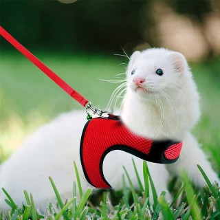 Mesh Atmungsaktiv Frettchen Hase Geschirr Leine Set für Kleine Tiere Kaninchen Hamster Sommer Walking Haustier Blei mascotas