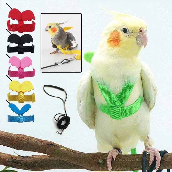 2023 einstellbare Papagei Vogel Harness Leine Set Anti-biss Training Harness Für Papageien Outdoor Fliegen Seil Für Nymphensi