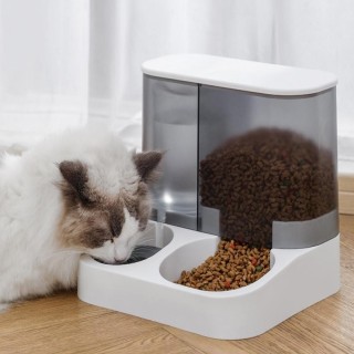 Pet Feeder 2-in-1 Pet Feeding Bowl Hund Katze Automatischer Wasserspender mit abnehmbaren Edelstahlschalen Heimtierbedarf gra