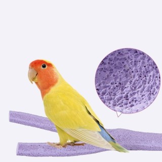 Ständerrahmen für Papageien, Vogelständerstab, Ständerstange, Schleifklaue, Habitatstab, Vogelkäfigzubehör violett