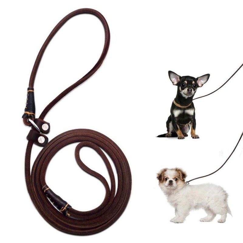 Hundetrainings-Schlupfleine, glatte, langlebige Hundeleine aus echtem Leder, dünn und verstellbar, Schlupfhalsband für Welpen