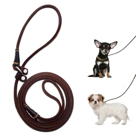 Hundetrainings-Schlupfleine, glatte, langlebige Hundeleine aus echtem Leder, dünn und verstellbar, Schlupfhalsband für Welpen