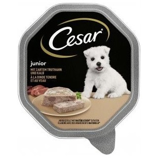 Cesar Junior mit zartem Truthahn und Kalb