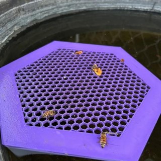Bienentrinktablett Bienenwasserstation Umweltfreundliche Bienenbewässerungsstation Tablett für Gartenbestäuber Insektentrinkt