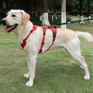 Haustier-Westengeschirr, ausbruchsicher, atmungsaktiv, verstellbare Schnalle, kein Ziehen, Brustgeschirr für große Hunde, Hei