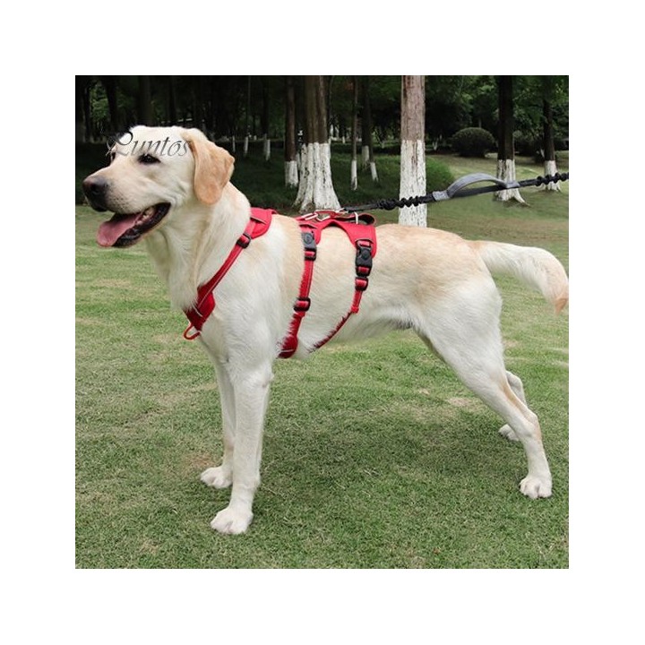 Haustier-Westengeschirr, ausbruchsicher, atmungsaktiv, verstellbare Schnalle, kein Ziehen, Brustgeschirr für große Hunde, Hei