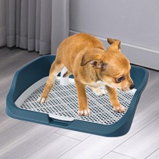 Hundetoilette, wiederverwendbares Töpfchen aus Netzgewebe für Welpen im Innenbereich grün