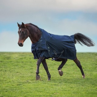 Imperial Riding MOVEITMOVEIT 300g - navy