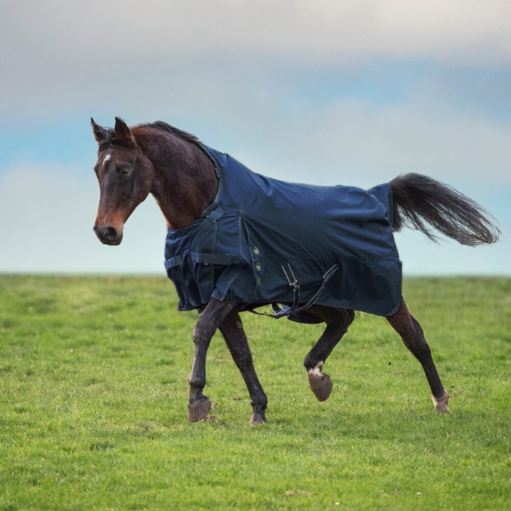 Imperial Riding MOVEITMOVEIT 300g - navy