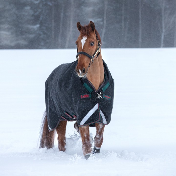 Horseware Rambo Wug Turnout Heavy 400g