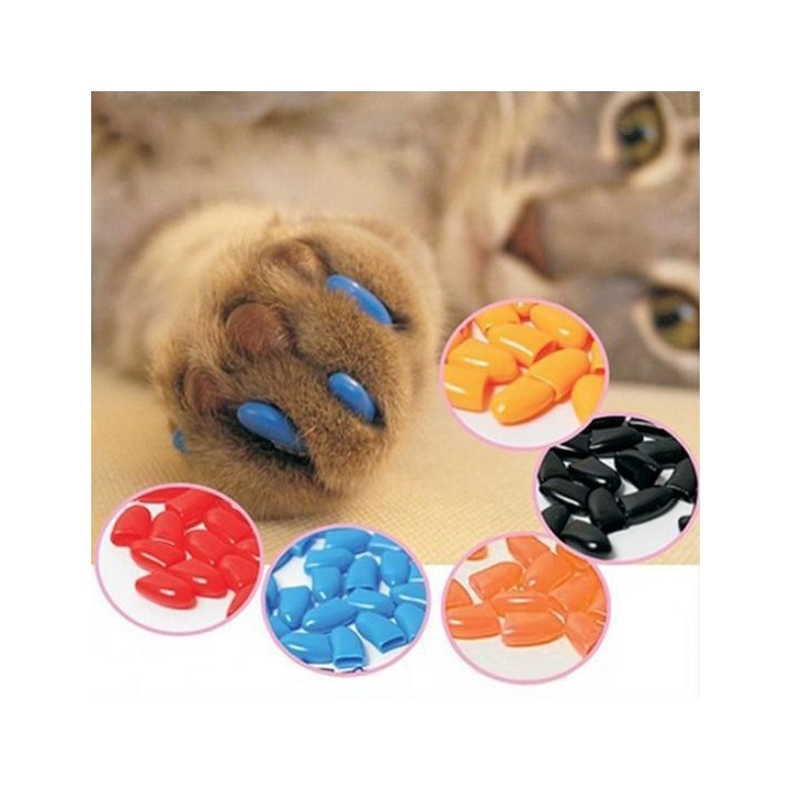 20 Stücke Haustier Hund Katzen Nagelkappen Abdeckungen Kätzchen Kontrolle Haustier Zubehör XS blau