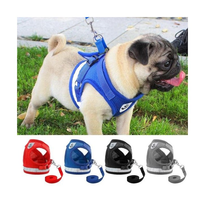 Haustier-Hundegeschirr mit Leine, Set, reflektierende Sicherheitsgeschirre, Weste, Brustgurt für Welpen, für kleine, mittelgr