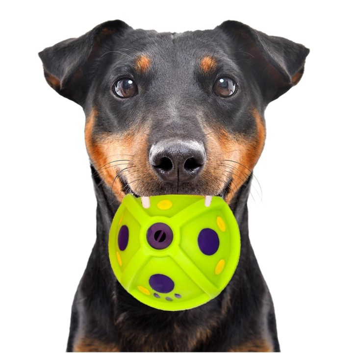 Happypet Laughing Treat Ball - Leckerli-Spenderball