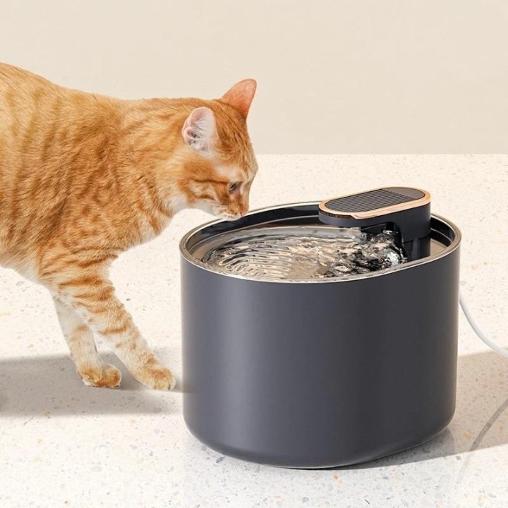 Automatischer Trinkwasserspender für Haustiere, intelligente Abschaltung, wiederaufladbarer Wasserspender für Katzen, Futters