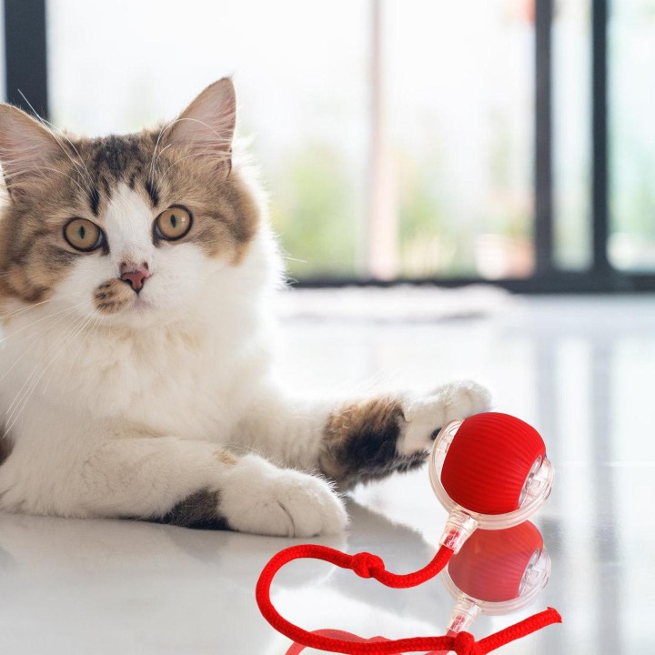 Elektrisches Katzenballspielzeug, selbstrollender Ball, Jagdspielzeug für aktive Katzen, Indoor-Übung, LED-Ballspielzeug, Kat