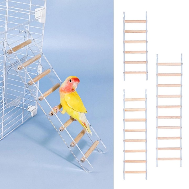 Vogel Sitzstange Natur Holzständer für Papageien Conure Supplies Wellensittiche Leiterkratzbaum für kleine mittelgroße Papage