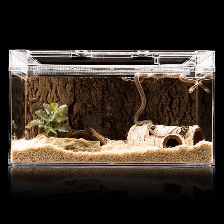 Futternapf für Reptilien, Kunstharz, für Aquarien, Becken, Futter- und Wassertopf, für Reptilien, Schildkröten, Skorpione, Ei