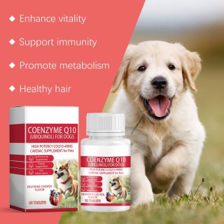 Essentielle Nahrungsergänzung für ältere Hunde für Herzgesundheit und Wachstum, 80 Tabletten, Coenzym TQ10 für Hunde, Tablett