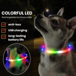 LED-Hundehalsband, schneidbar, regenfest, 4 Blinkmodi, USB wiederaufladbar, sicher, bequem, wasserdicht, Haustierhalsband