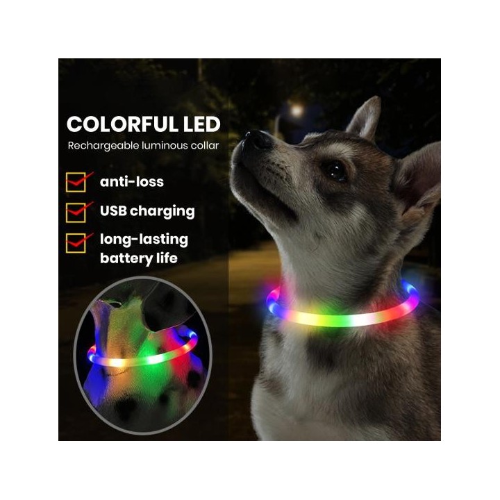 LED-Hundehalsband, schneidbar, regenfest, 4 Blinkmodi, USB wiederaufladbar, sicher, bequem, wasserdicht, Haustierhalsband