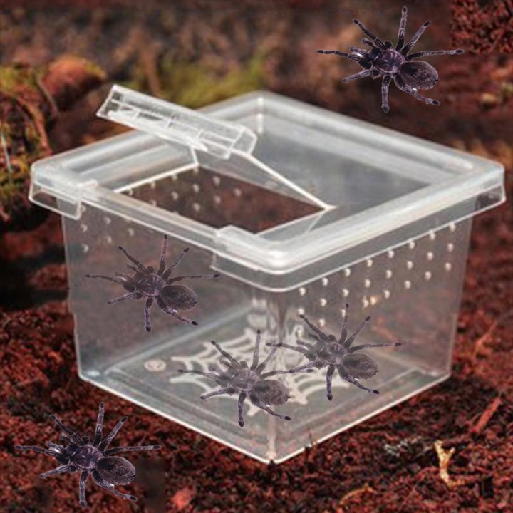 Reptilien-Zuchtbox mit Klappdeckel, transparent, atmungsaktiv, für Frösche, Schlangen, Spinnen, tragbarer Reptilien-Terrarium