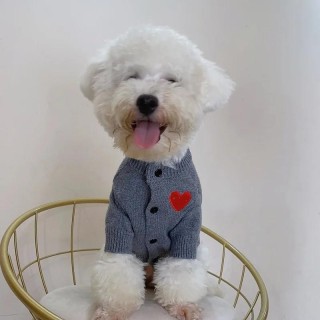 Entzückender Strickpullover für Hunde und Katzen, Herbst/Winter, modische warme Schutzkleidung, Haustiermäntel, Jacken, trend