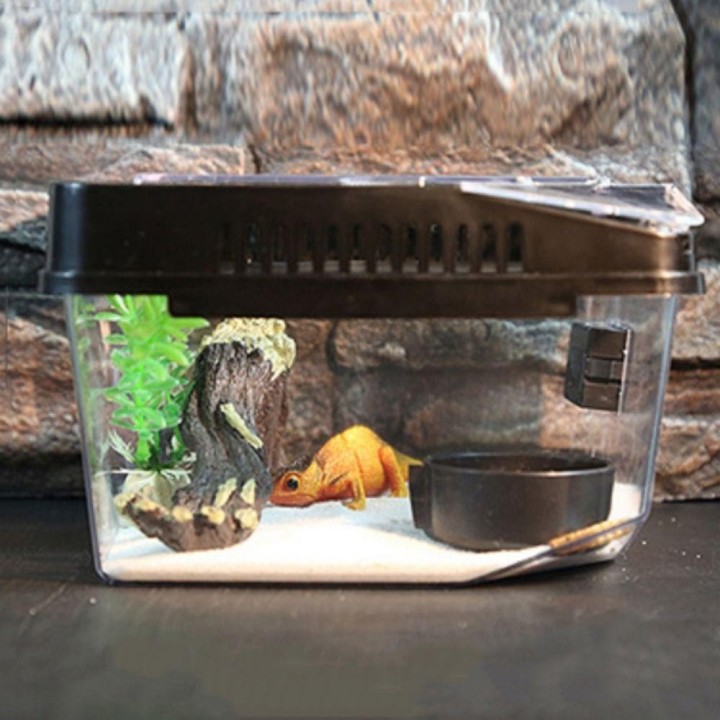 Fluchtsicheres Terrarium für Reptilien, Kunststoff-Terrarium für Reptilien, langlebiger Eidechsen-Wachstumsbehälter für Schne