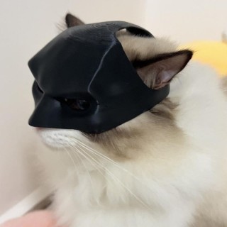 Neue schwarze Fledermaus-Katzen-Rächermaske, süße Fledermausmaske, cooles Superhelden-Spielzeug, Katzen-Fledermausmaske für K