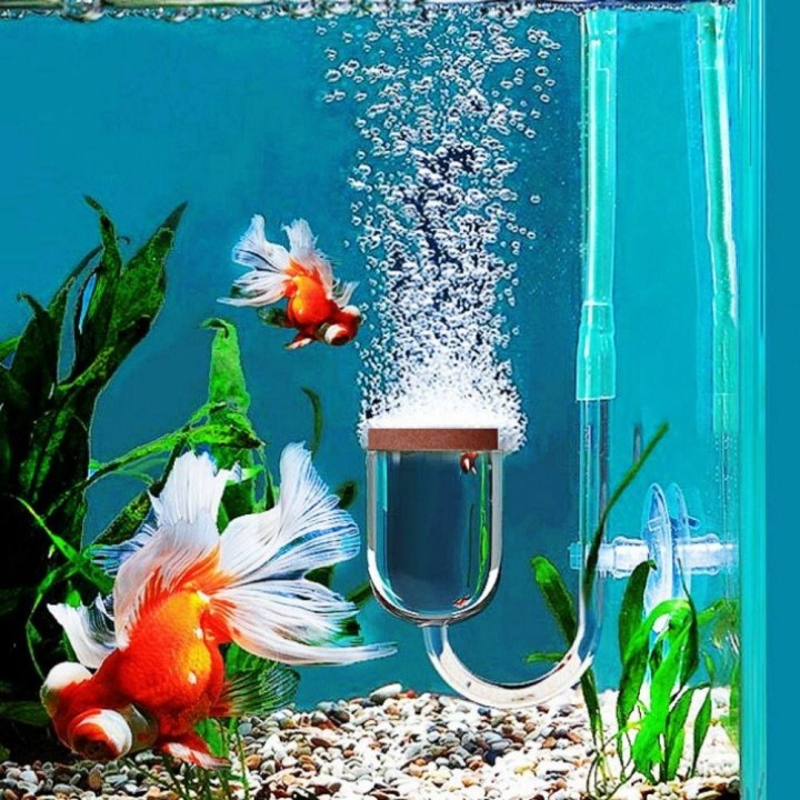 Aquarium Luftverteiler Acrylbelüfter Blasenzähler Stein Spritzschutz Fischbehälter Mini Nano Generator Sauerstofffilterpumpe
