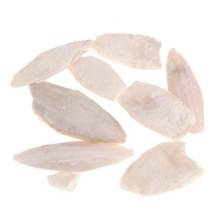 1 Beutel Tintenfisch, Tintenfisch, Sepia-Knochen, Tintenfisch, Vogelfutter, Kalzium, Pickstone, Haustier