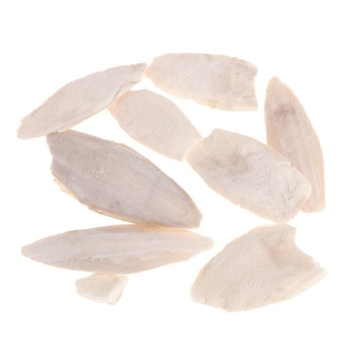 1 Beutel Tintenfisch, Tintenfisch, Sepia-Knochen, Tintenfisch, Vogelfutter, Kalzium, Pickstone, Haustier