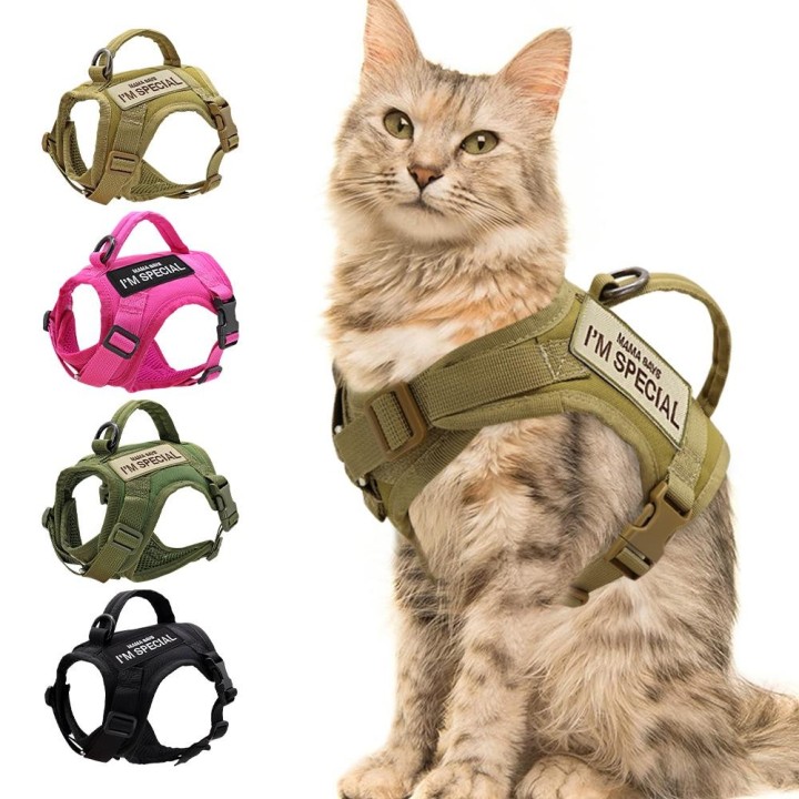 Taktische Militärische Katzenweste, verstellbares Militär-Welpen-Katzengeschirr mit Aufkleber-Patches für kleine Hunde und Ka
